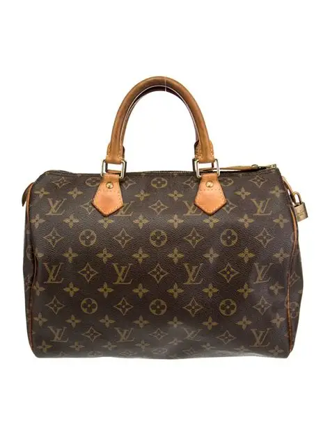 Louis Vuitton Bags